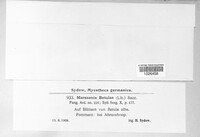 Marssonina betulae image